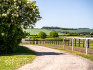 EW260523-42 - Ed Walker Stable Visit